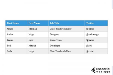10+ CSS tables (latest collection) - Essential Web Apps