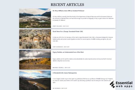 10+ Tailwind CSS Card (latest collection) - Essential Web Apps